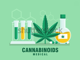 Wholesaler Role Company...CNF